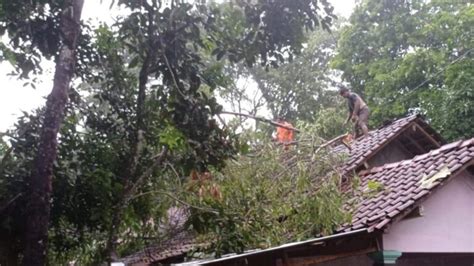 Dampak Cuaca Ekstrem Terjadi Di Sleman Ada Pohon Tumbang Sampai Makam