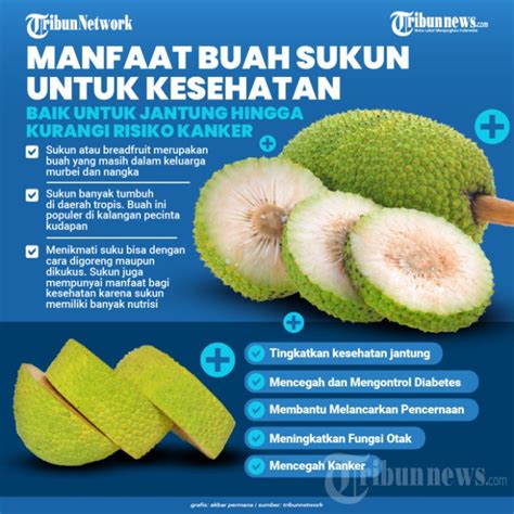 Manfaat Buah Sukun Superfood Untuk Kesehatan Tubuh Breakerslab Org