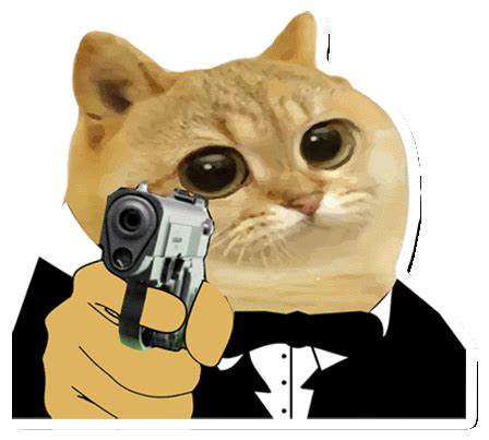 Catcoin Crypto Sticker - Catcoin Crypto Cat meme - Discover & Share GIFs