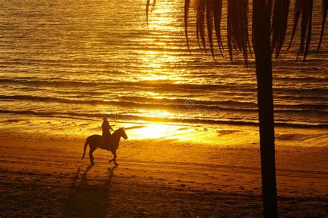 Horse Riding On A Beach At Sunset Stock Photo - Image of coast, walking ...