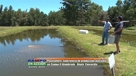 Pisc Cultura Manejo Y Cultivo De Peces Aut Ctonos Del R O Uruguay