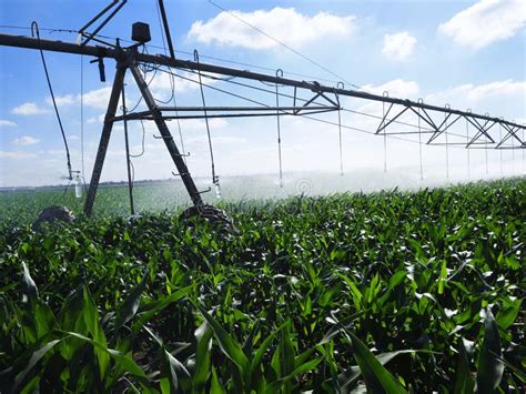 Sistema Automatizado De Irriga O Para Agricultores Imagem De Stock