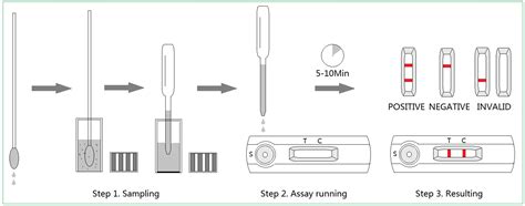 Kit De Prueba De Diagnóstico Veterinario Elisa De Prueba De Anticuerpo