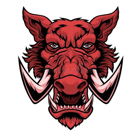 Wild Boar Head Mascot Stock Vector Illustration Of Shirt 141544282