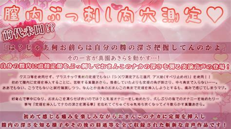 エロ同人傑作選 【実演収録】前代未聞おまんこに定規ぶっ刺してナカの深さ測ってみた【ハイレゾ音声真園あきら】 中々奥まで定規をブチ込し