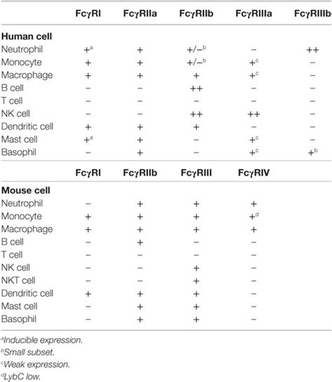 Frontiers Fcγ Receptor Heterogeneity In Leukocyte Functional Responses