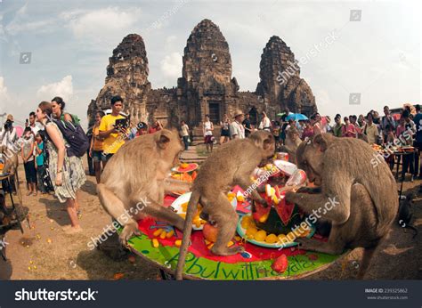 12,772 Thailand monkey temple Images, Stock Photos & Vectors | Shutterstock