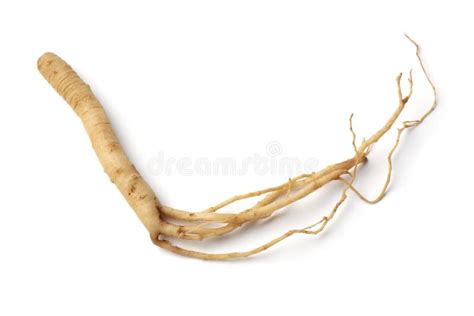 Raiz De Ginseng Sobre Fundo Branco Fechar Imagem De Stock Imagem De