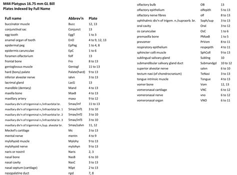 Platypus 16.75 mm GL Bill — Comparative Brain Anatomy