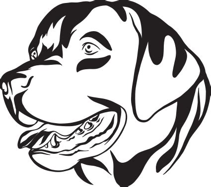 Sticker Pour Voiture Dessin Rottweiler Tenstickers