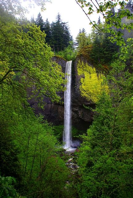 Latourelle Falls Explore Oregon Scenic Views Columbia River Gorge