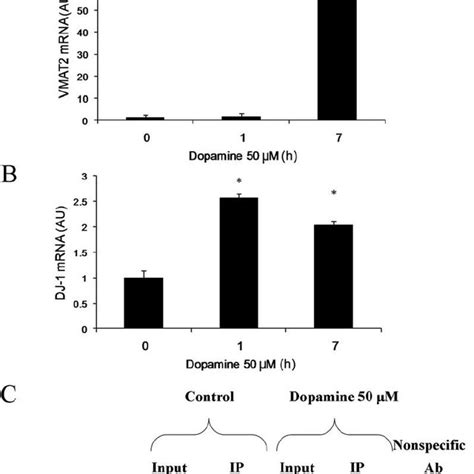 Dj Controls Vesicular Monoamine Transporter Vmat Expression At