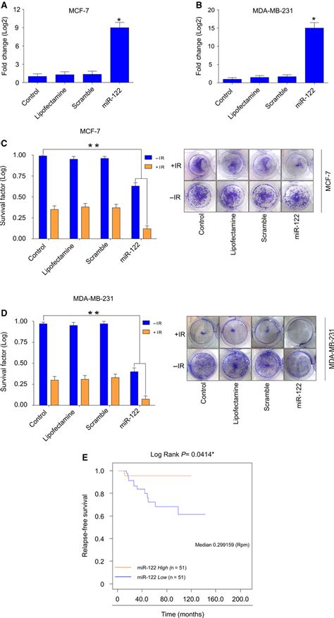 MiR122 Promotes Radiosensitivity In Parental Breast Cancer Cells