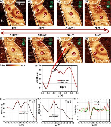 FIG S3 Magnetic Field Dependency Of The TAMR Contrast A H DI DU