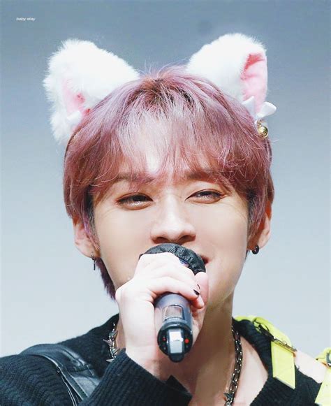 Minho S Cats Pink Themes Lee Know Alba Cat Ear Headphones Kpop