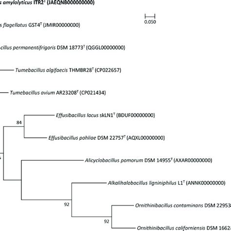 Phylogenomic Tree Of Strain ITR2 T And Its Closely Related Taxa Was