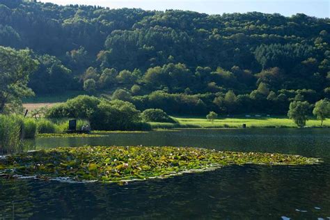 Maare Und Kraterseen Natur Und Geopark Vulkaneifel