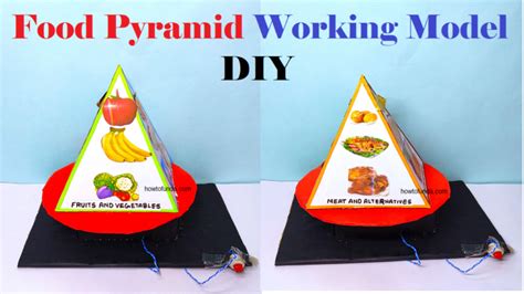 Food Pyramid Working Model Science Project For Science Exhibition Diy