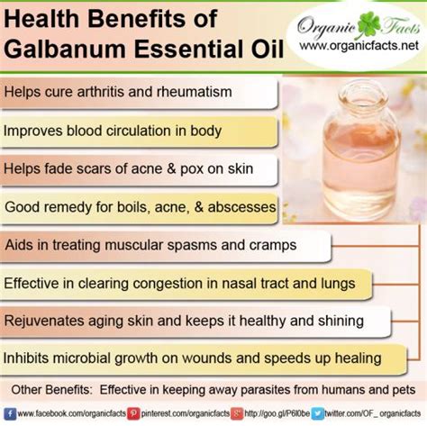 Health Benefits of Galbanum Essential Oil | Organic Facts