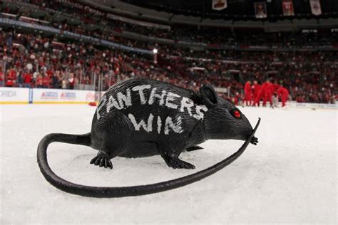 The Rats Come Out Florida Panthers Hockey Logos Panthers