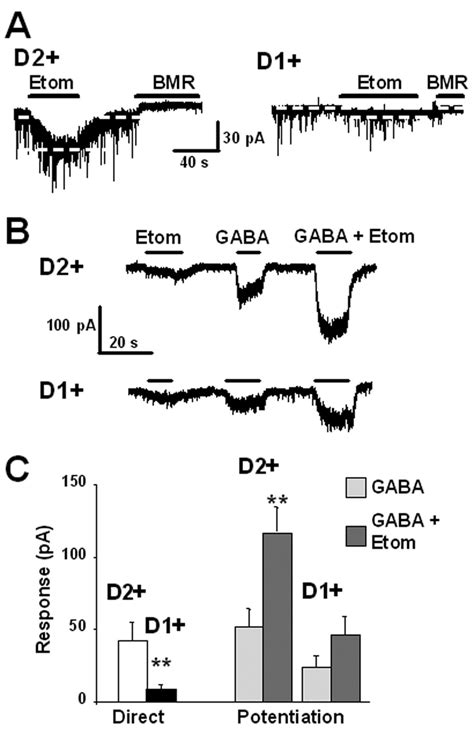 Etomidate Selectively Activates Tonic Receptors In D2 Msns A