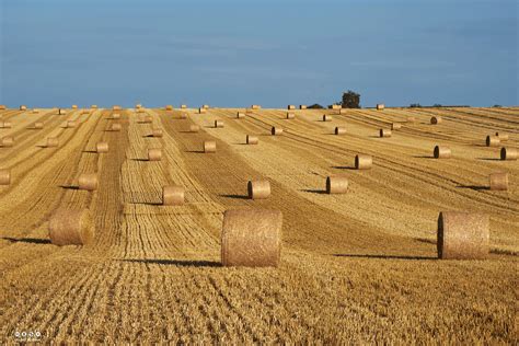 Après la moisson