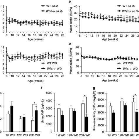 Increased Urine Volume And Decreased Avp Secretion In Wfs1−− Mice