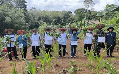 Masyarakat Diharapkan Manfaatkan Pekarangan Untuk Ketahanan Pangan