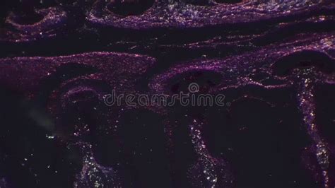 Human Ciliated Epithelium Under Microscope 100x Filmed with Oblique ...