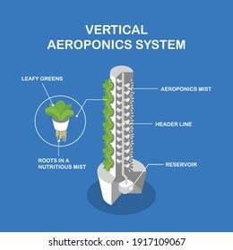 637 Aeroponics Images, Stock Photos & Vectors | Shutterstock