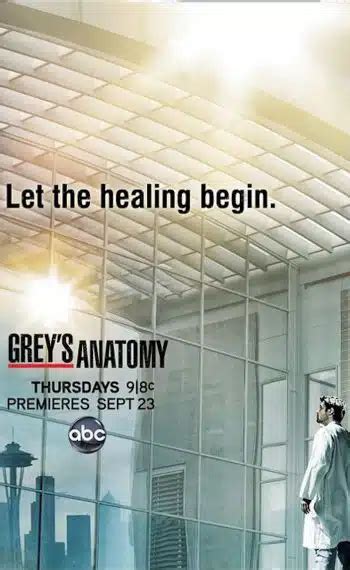 Greys Anatomy Trama Cast Curiosit Sulle Stagioni E