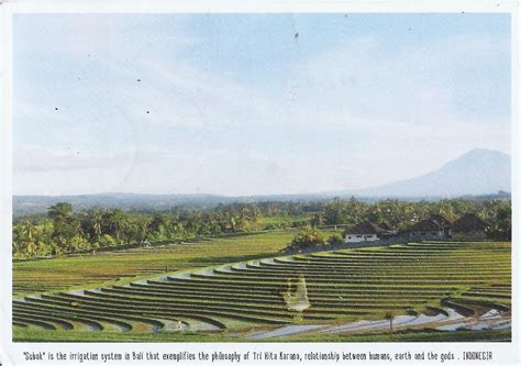 A Journey of Postcards: Terraced rice fields in Bali | Indonesia