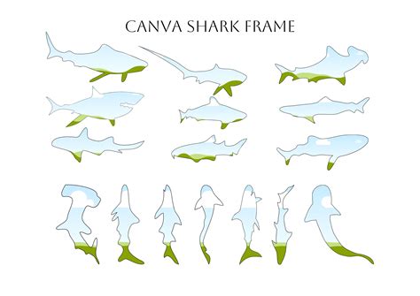 Canva Shark Frame Graphic By T Mea Herczeg Creative Fabrica