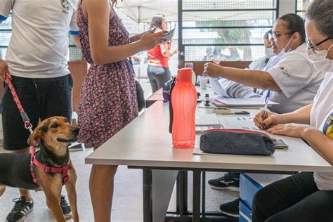 Prefeitura de Taboão da Serra realize no sábado dia 11 Sábado