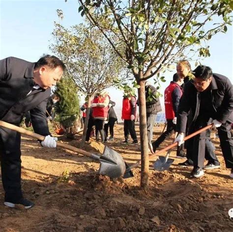 我市开展冬季全民义务植树活动生态范付中绿化