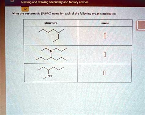 Solved Naming Amd Drawing Secondary And Tertiary Amines Naming And