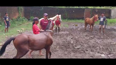 Suasana Menjelang Balapn Di Arena Pacuan Kuda Lemba Kara Desa Lepadi