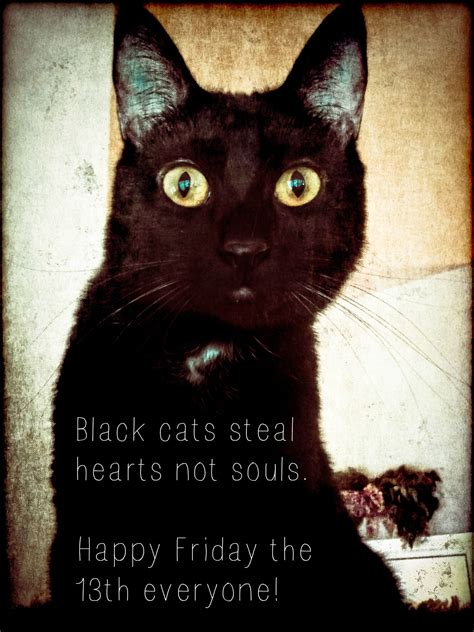 Happy Friday 13th Black Cat