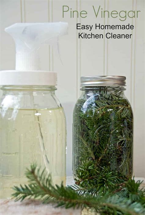 Pine Vinegar Homemade Kitchen Cleaner Turning The Clock Back