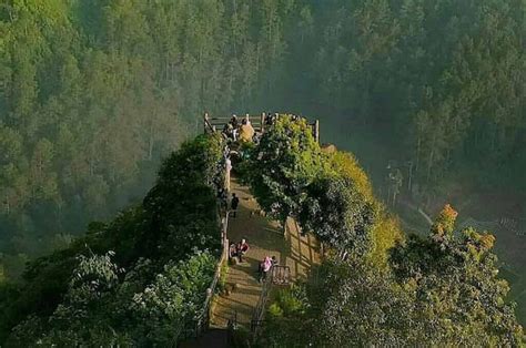 10 Tempat Hiking Di Bandung Yang Wajib Kamu Coba