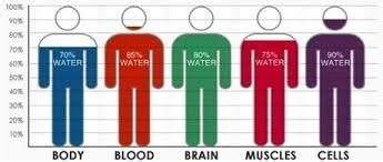 What is H3O2 or EZ structured water?