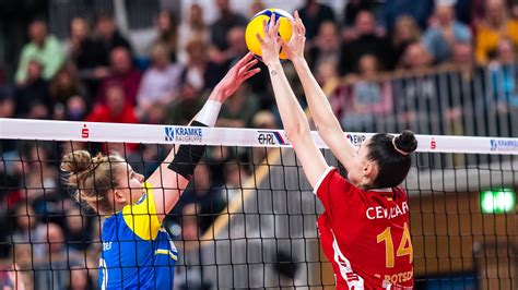 Deutscher Volleyball Verband Halle Fakten Rund Um Das DVV