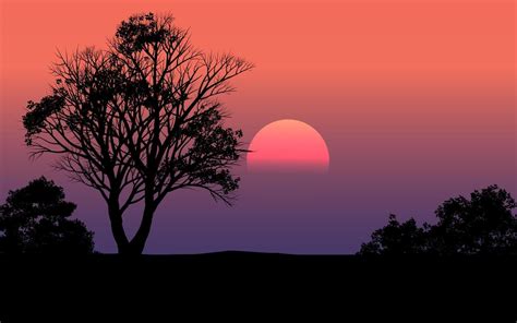 Beautiful Silhouette Sunset Scene In Forest 3021660 Vector Art at Vecteezy