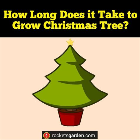 how long does a xmas tree take to grow