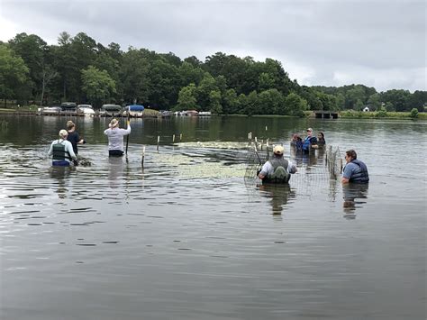 Lake Gaston Association Lga Partners On New 5 Year Habitat Enhancement Plan