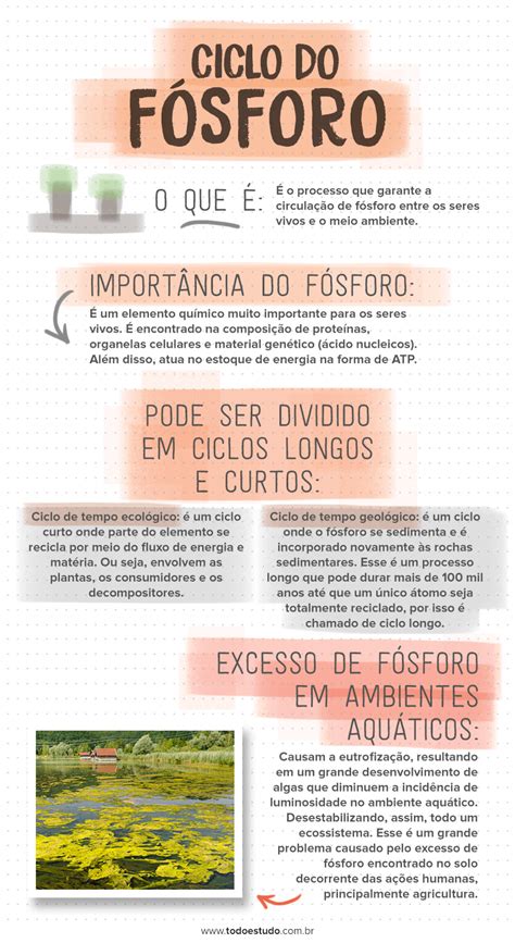 Ciclo Do Fósforo Entenda A Importância Desse Ciclo Biogeoquímico