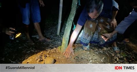 Orang Tua Pembuang Bayi Ternyata Masih Di Bawah Umur