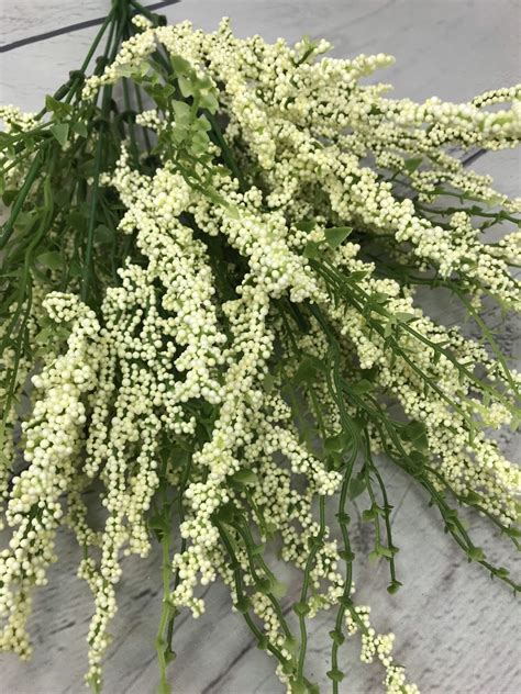 White Erica Berry Bush Kelea S Florals