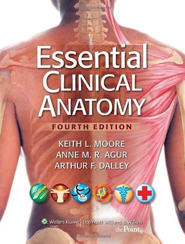 Essential Clinical Anatomy English Edition EBook Moore Keith L