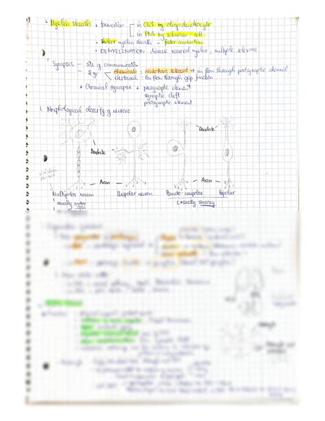 SOLUTION: Histology of nervous system - Studypool